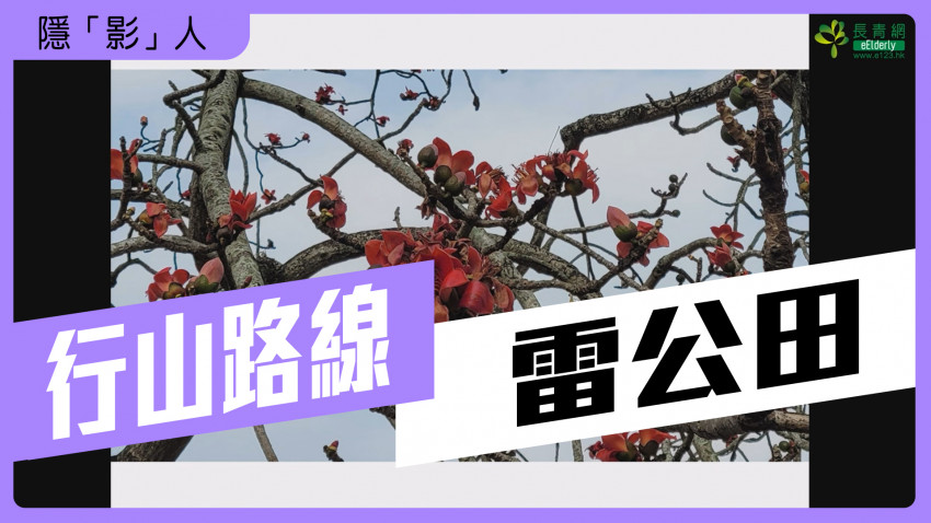 隱「影」人—雷公田｜行山路線推薦