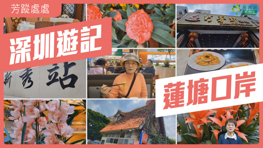 芳蹤處處 深圳一日遊 蓮塘口岸