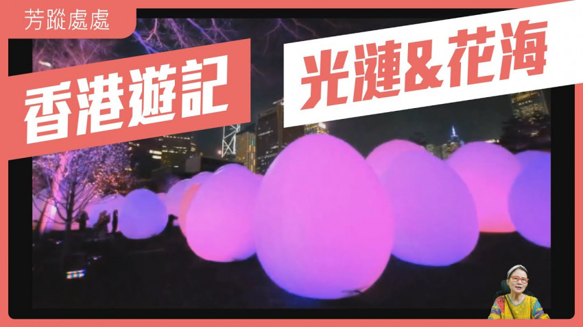 芳踪處處 光漣｜花海